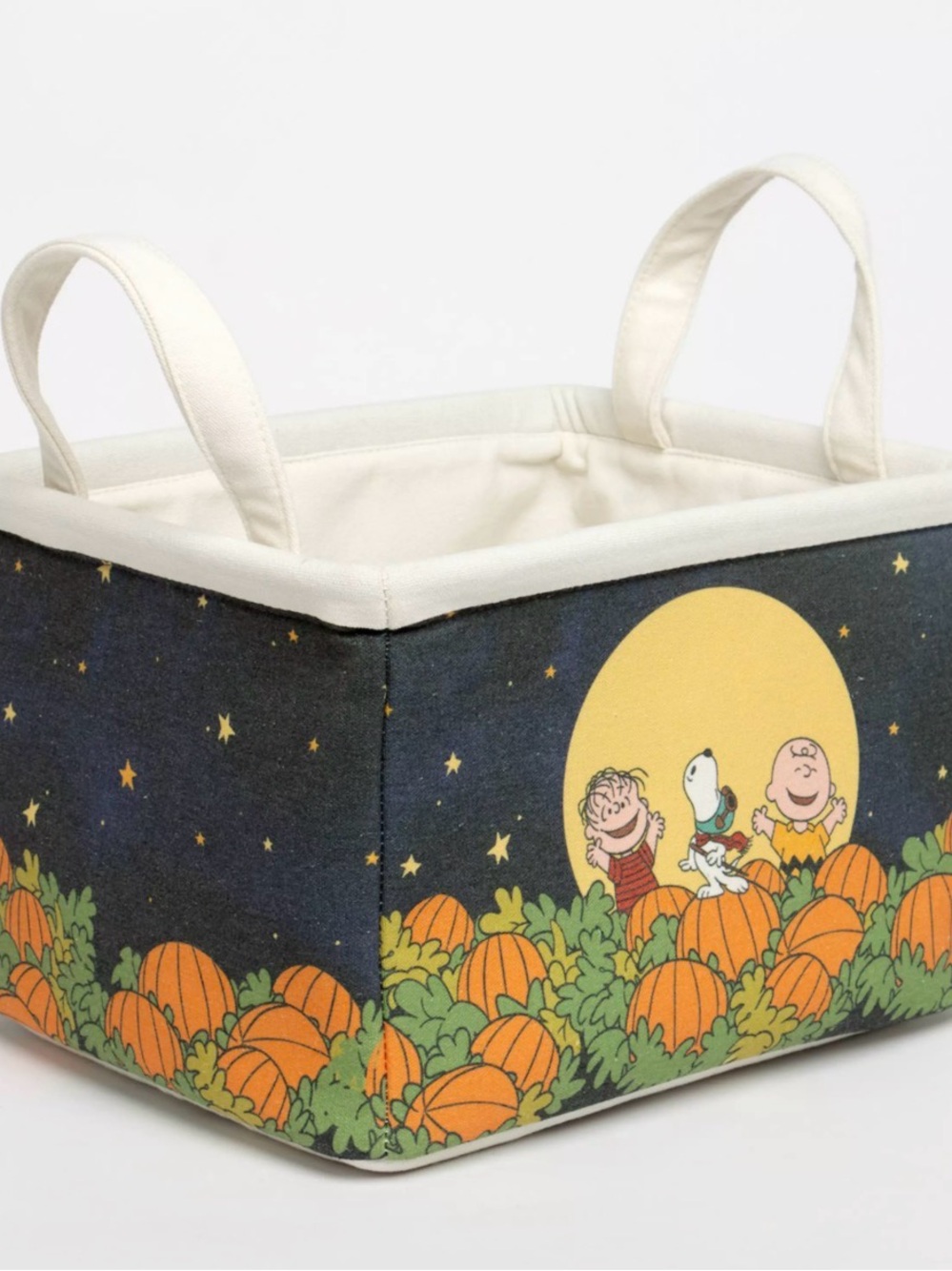 Celebrate Together™ Peanuts Great Pumpkin Canvas Storage Bin